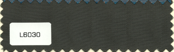 L6030