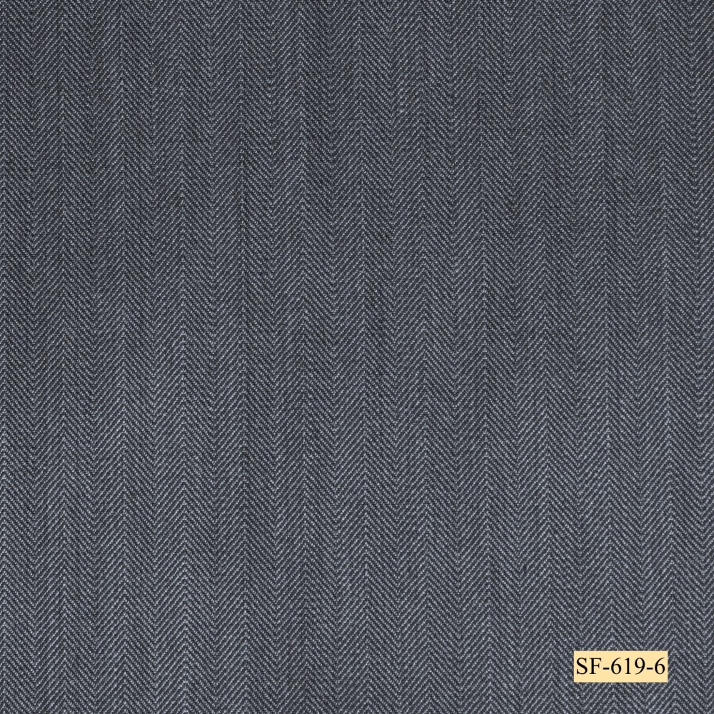 SF-619-6
