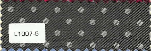 L1007-5