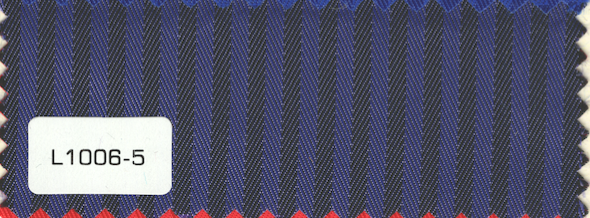 L1006-5