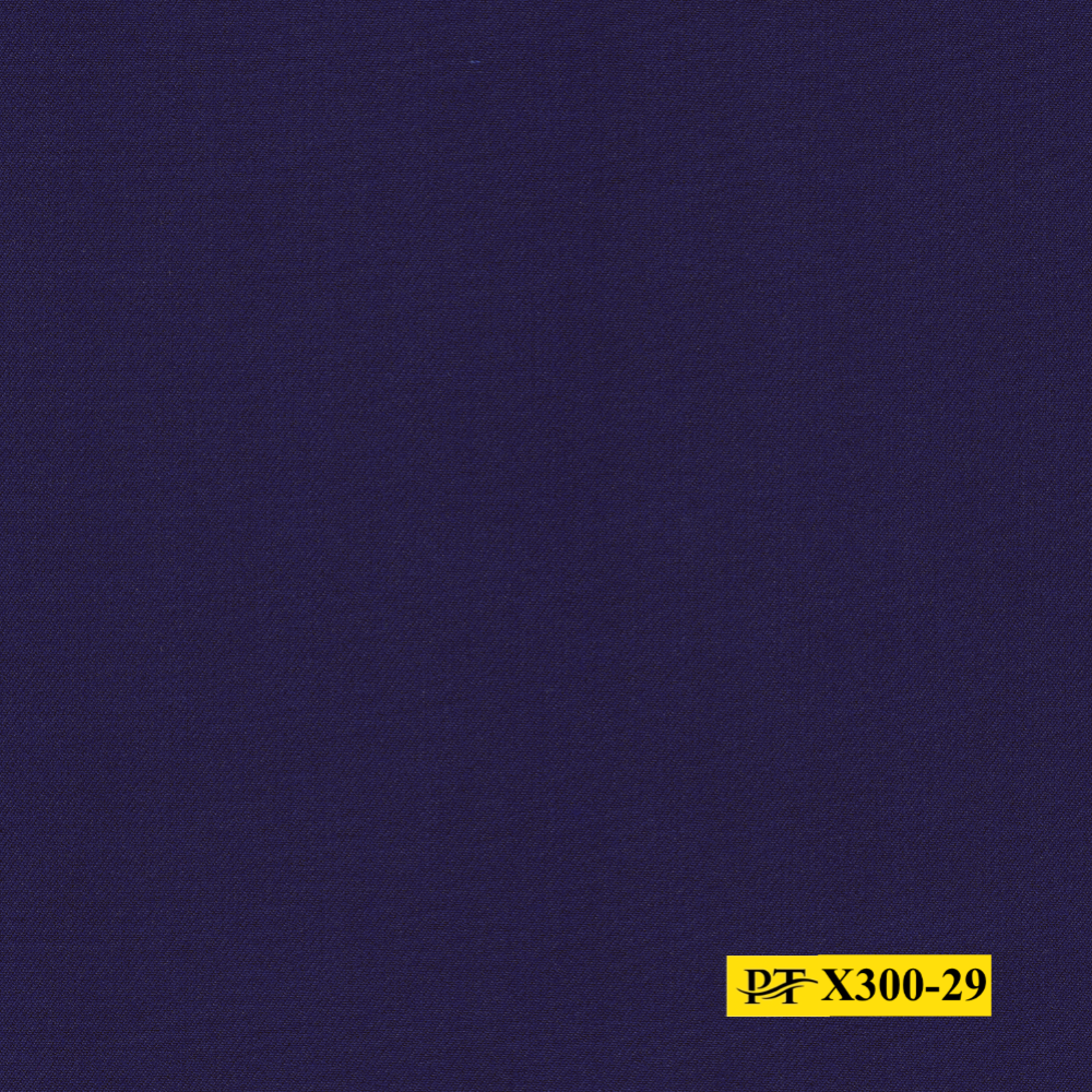 X300-29