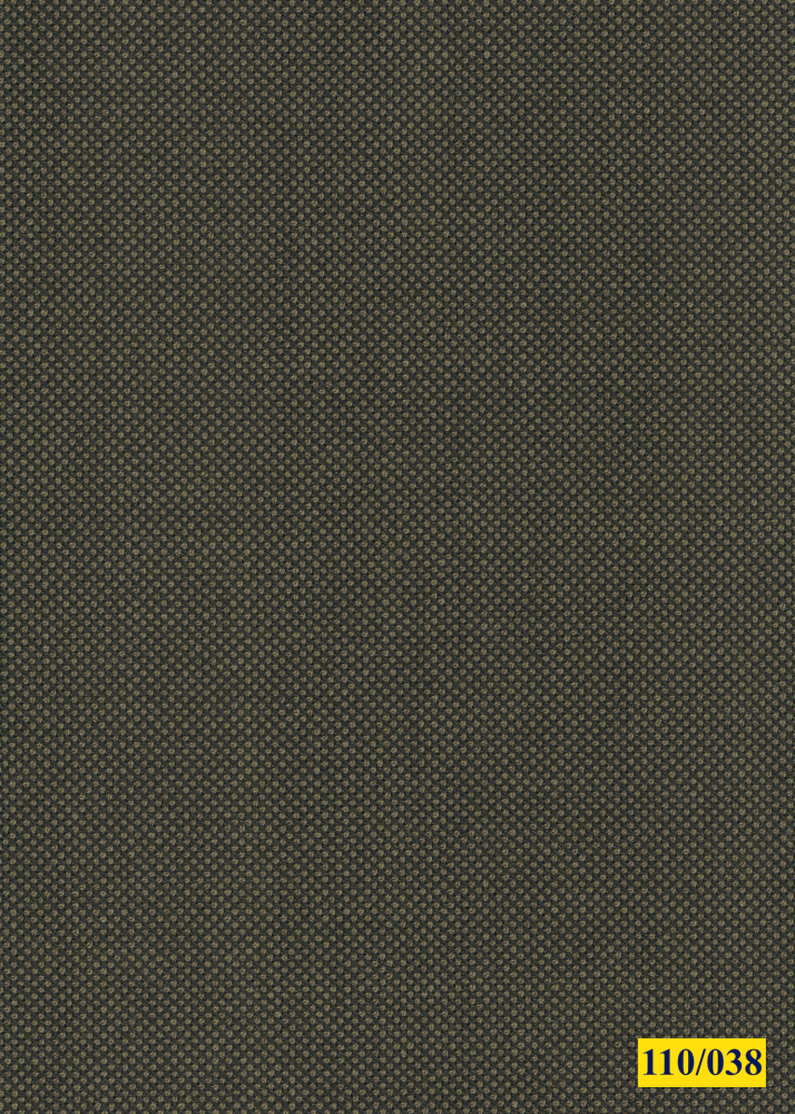 110/038