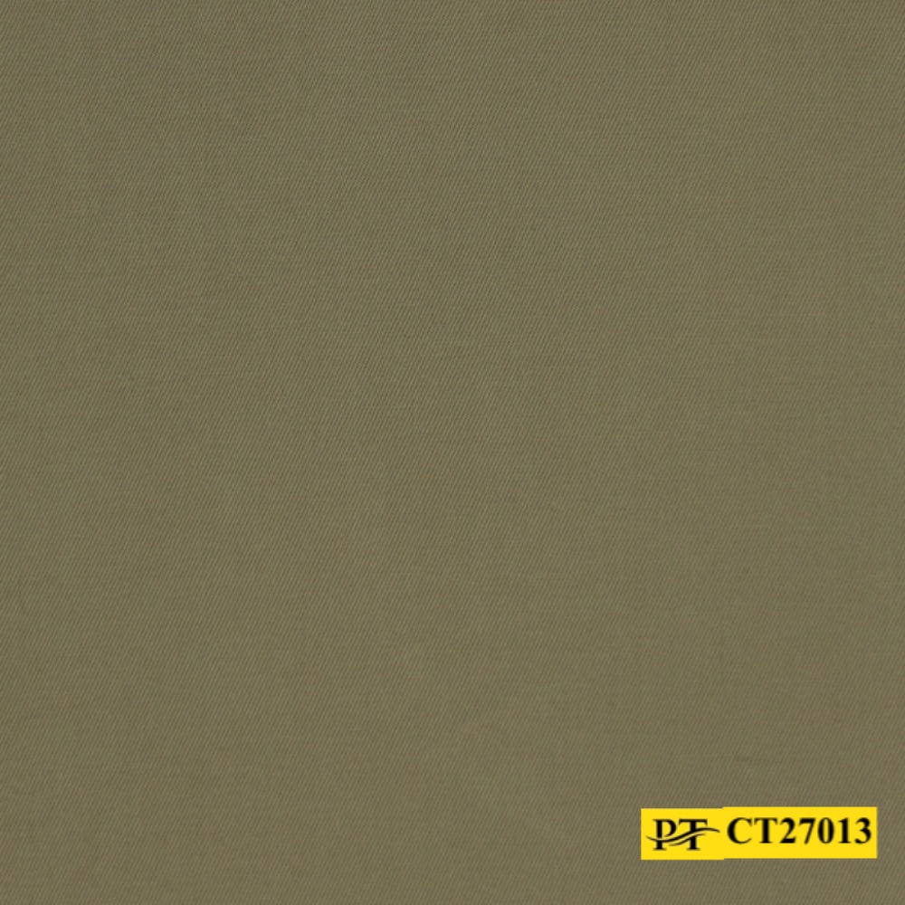 CT27013