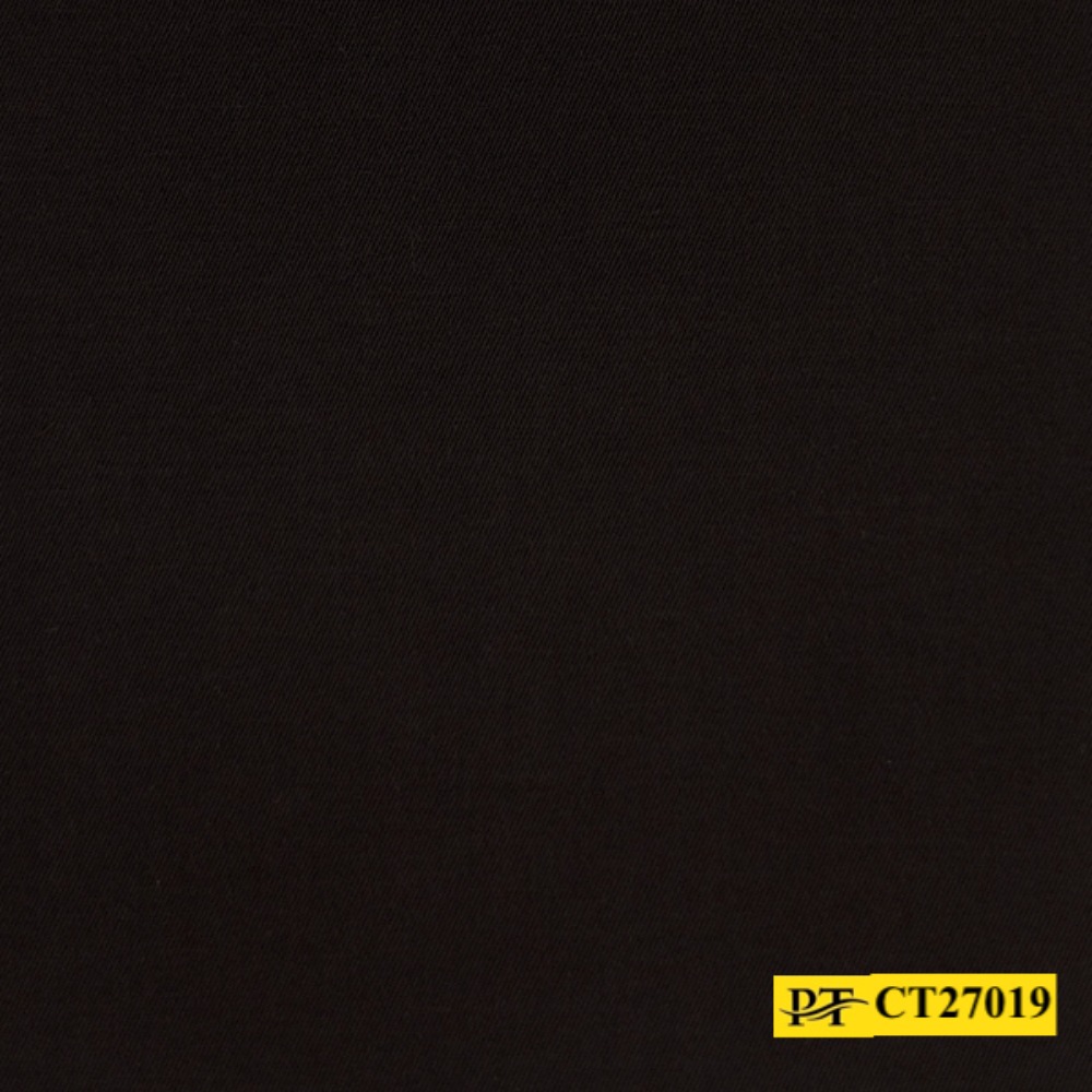 CT27019