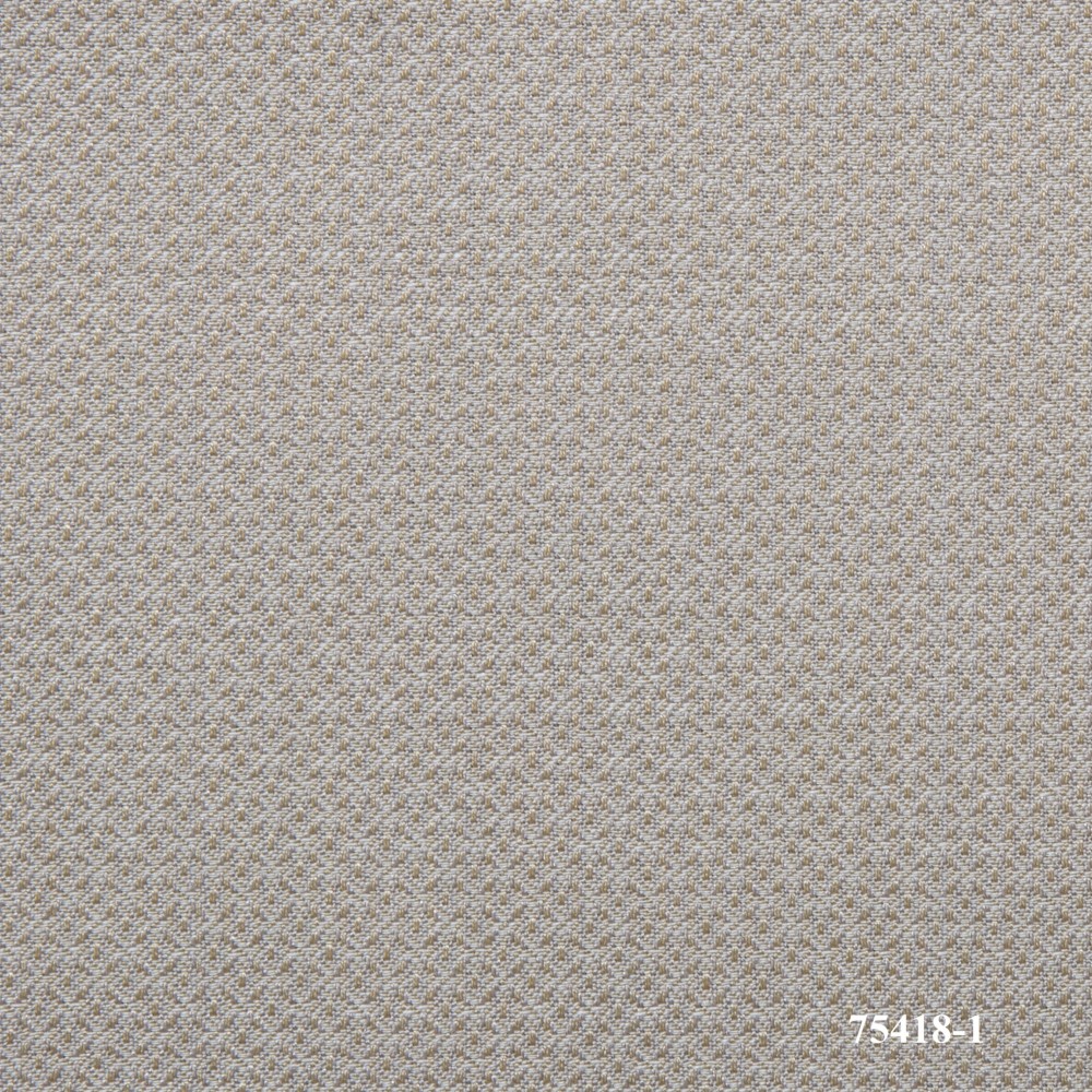 75418-1