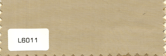 L6011