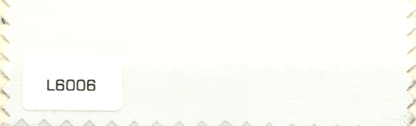 L6006
