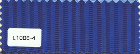 L1006-4