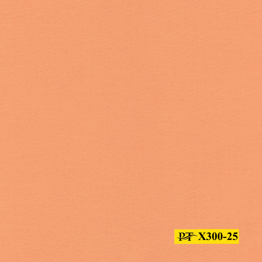 X300-25