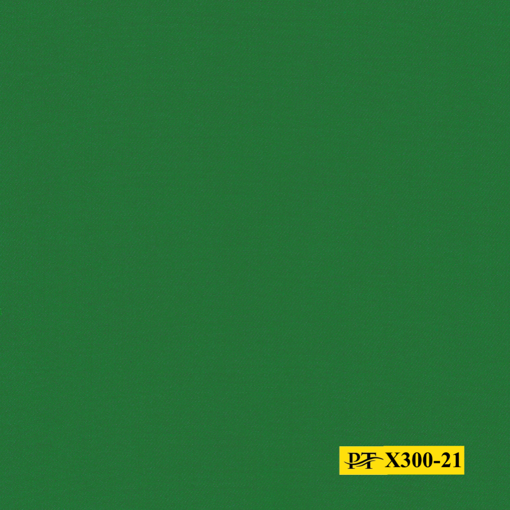 X300-21