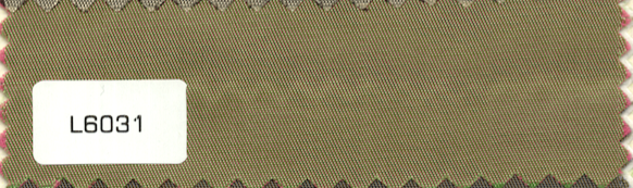 L6031