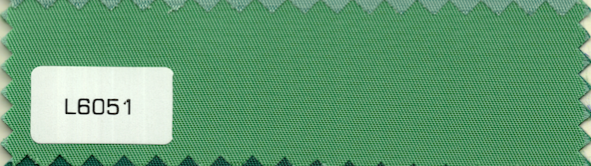 L6051
