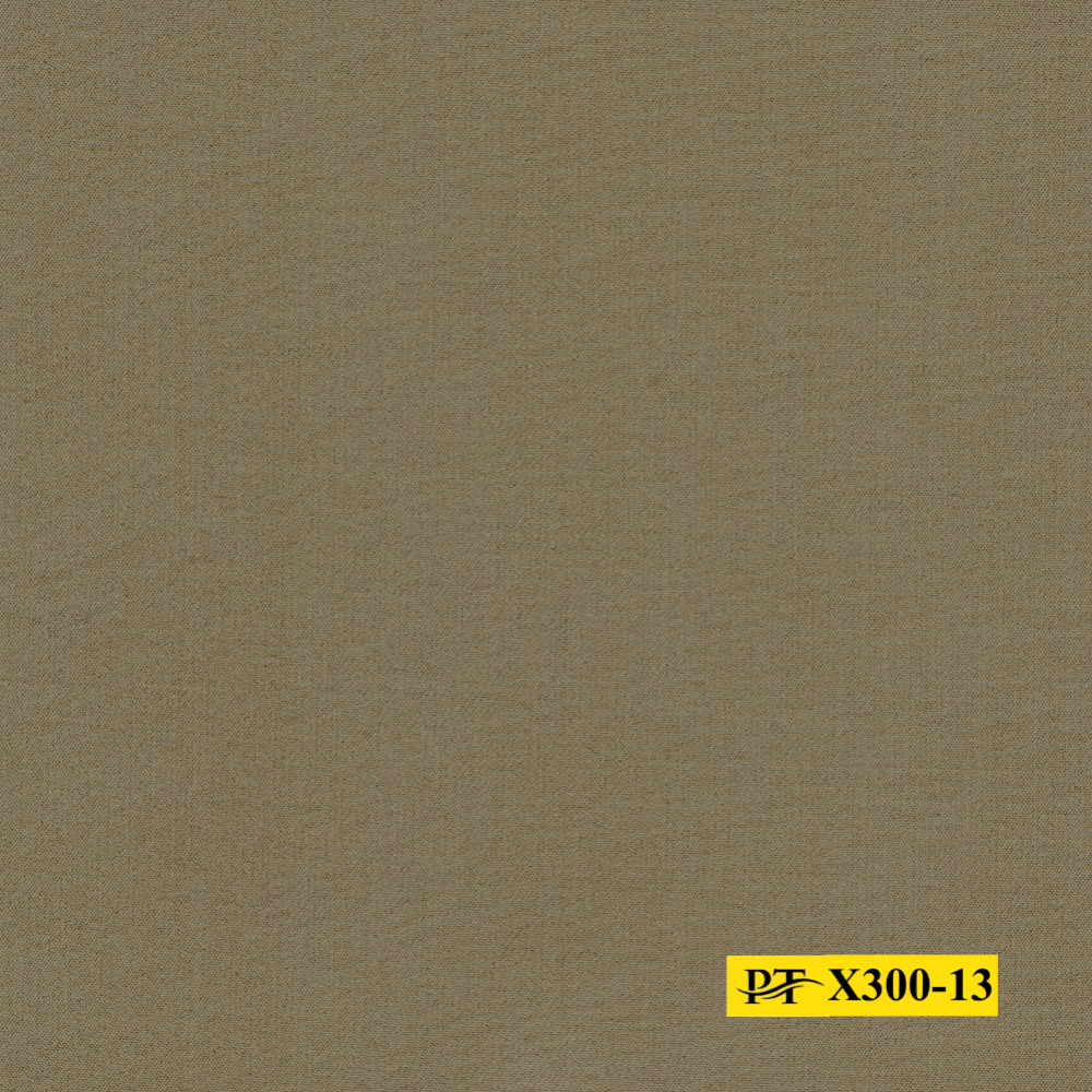 X300-13