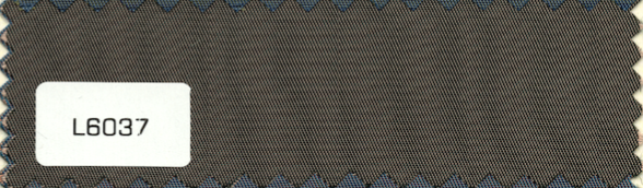 L6037