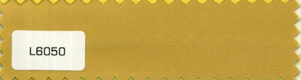 L6050