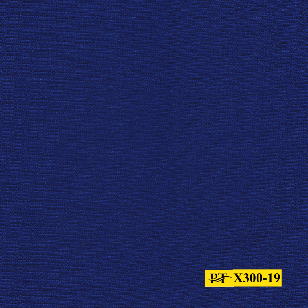 X300-19