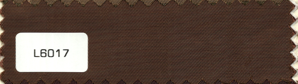 L6017