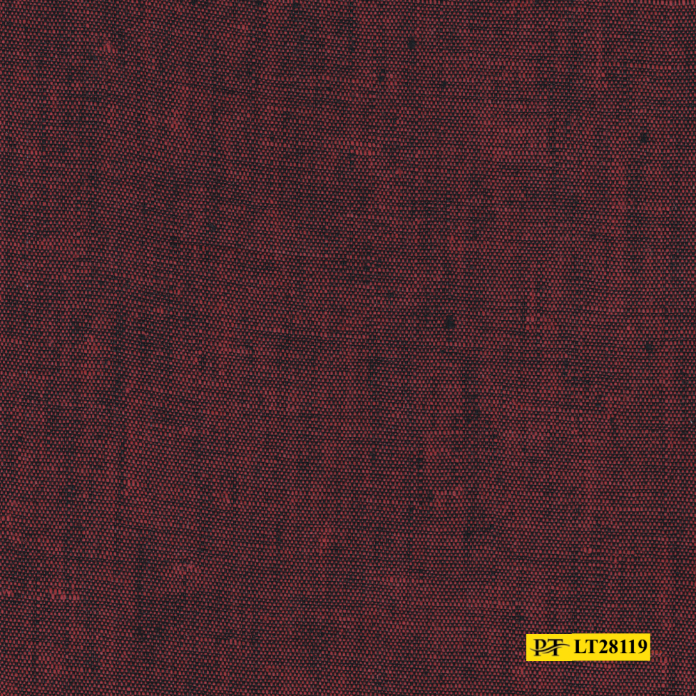 LT28119