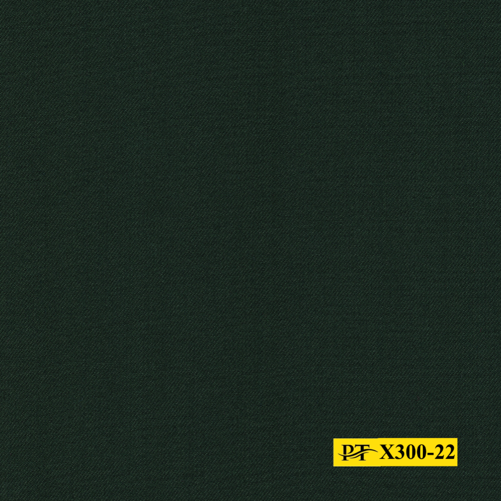 X300-22