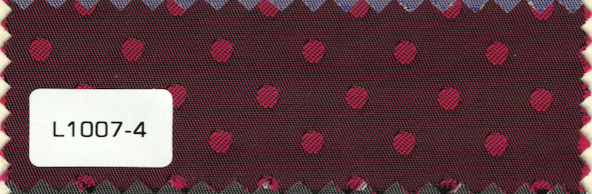 L1007-4