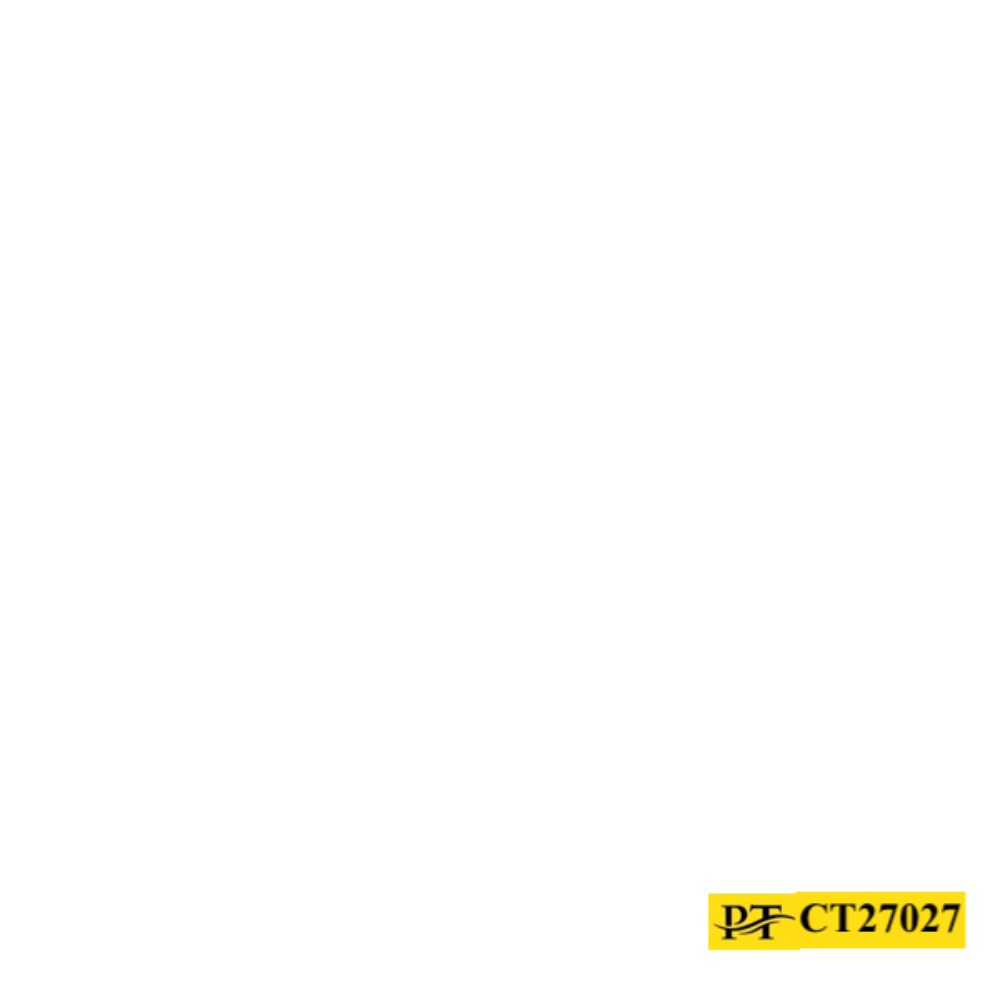 CT27027