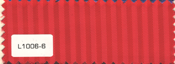 L1006-6