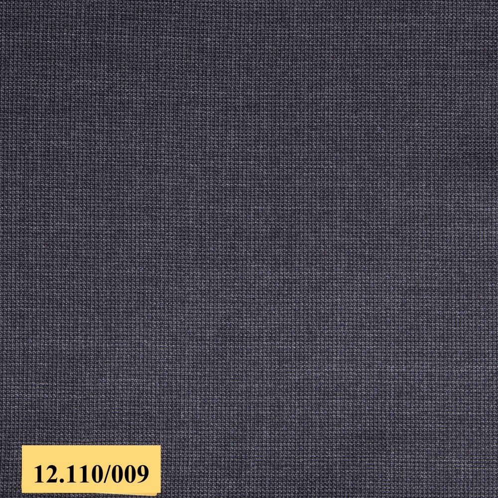 110/009