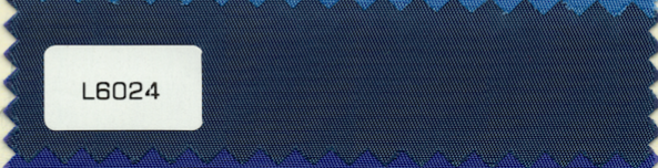 L6024