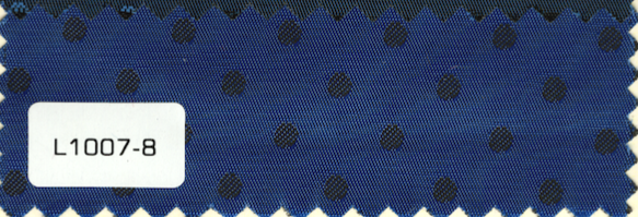 L1007-8