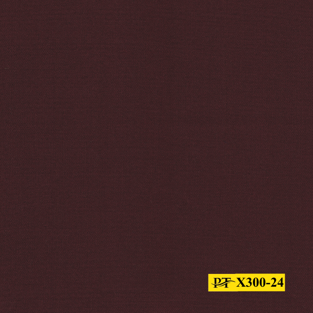 X300-24